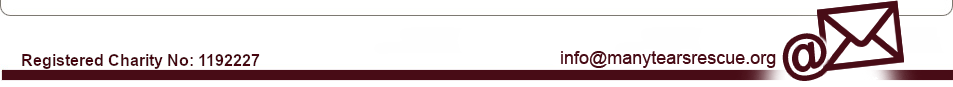 Footer Image