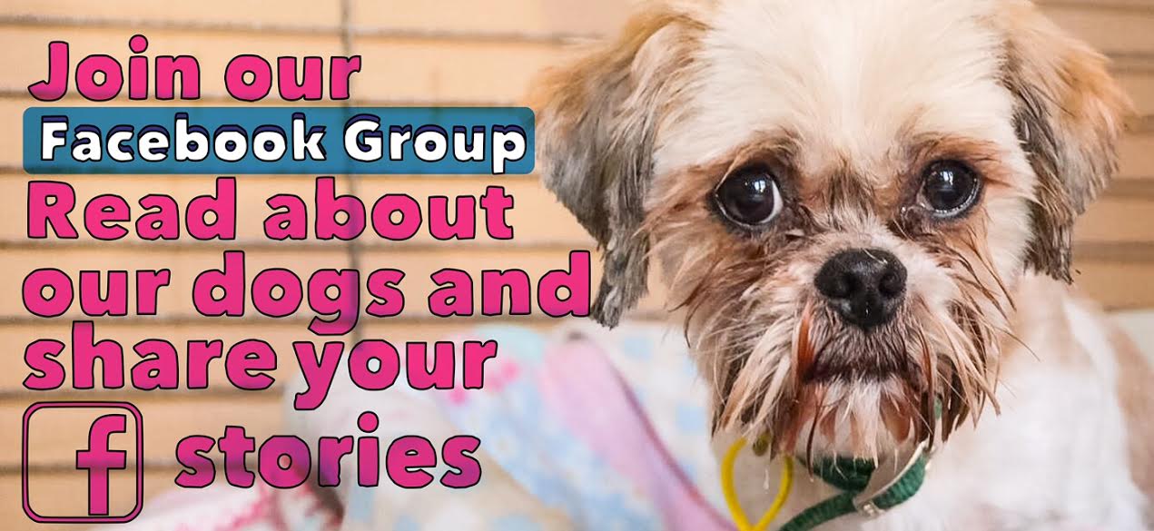 Facebook Group   