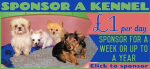 Sponsor A Kennel  